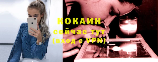 трава Белокуриха