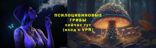 ПСИЛОЦИБИНОВЫЕ ГРИБЫ Белоозёрский