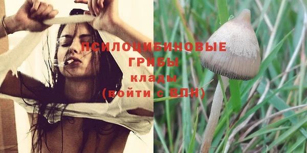 ПСИЛОЦИБИНОВЫЕ ГРИБЫ Белоозёрский