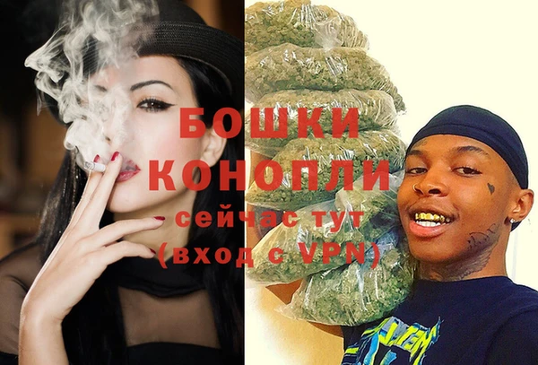 ПСИЛОЦИБИНОВЫЕ ГРИБЫ Белоозёрский