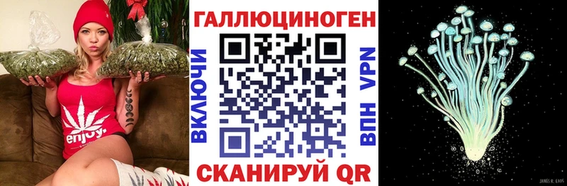 наркотики  Ворсма  Псилоцибиновые грибы Cubensis 